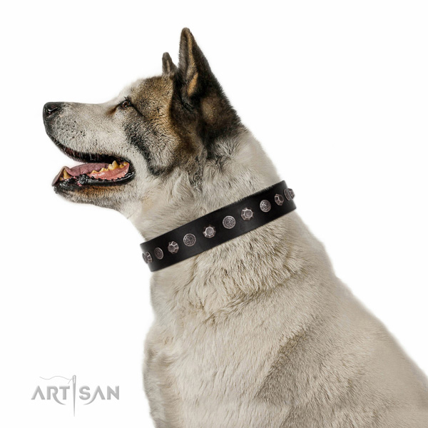 Decorated full grain leather collar for handy use your doggie