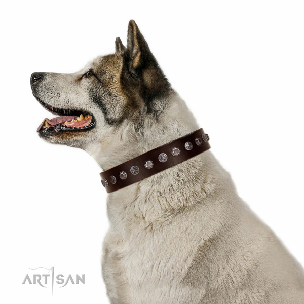Embellished genuine leather collar for handy use your canine