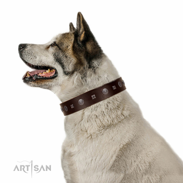 Strong studs on basic training collar for your canine