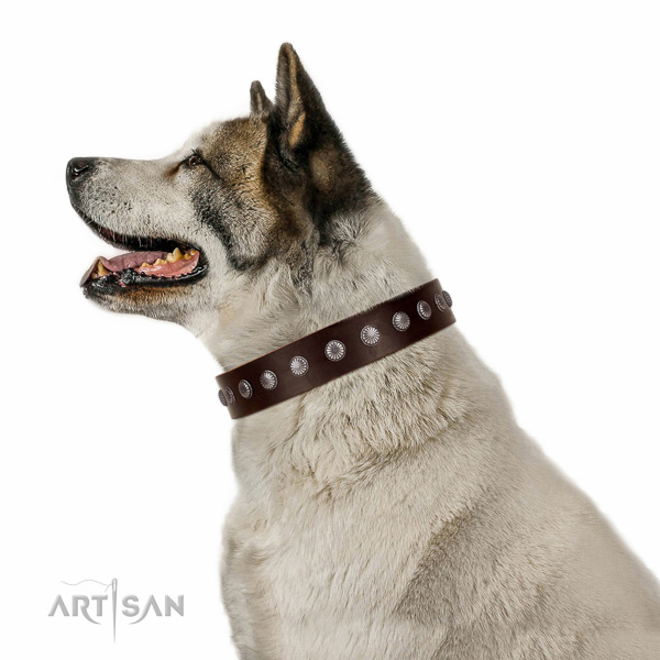 Soft to touch genuine leather dog collar with studs for comfy wearing