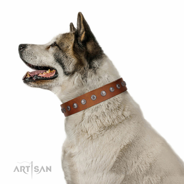 Soft genuine leather dog collar with adornments for daily walking