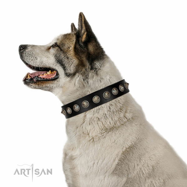 Remarkable embellished natural leather dog collar for daily walking