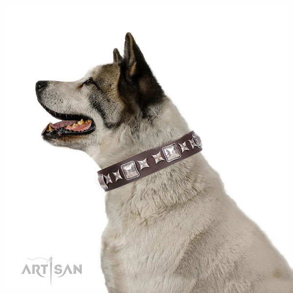Akita-Inu stylish full grain natural leather dog collar with studs