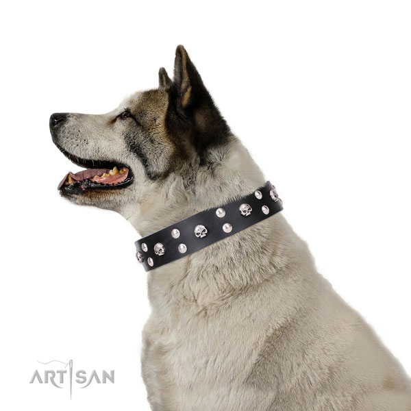 Akita-Inu full grain genuine leather dog collar for easy wearing