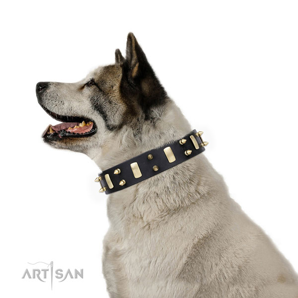 Akita-Inu impressive leather dog collar with embellishments