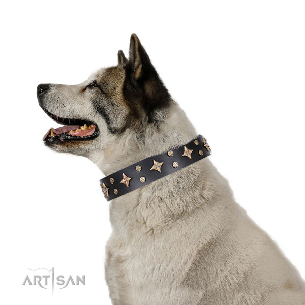 Akita-Inu adorned full grain natural leather dog collar with decorations