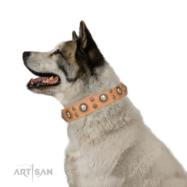 Akita-Inu stylish natural genuine leather dog collar with adornments
