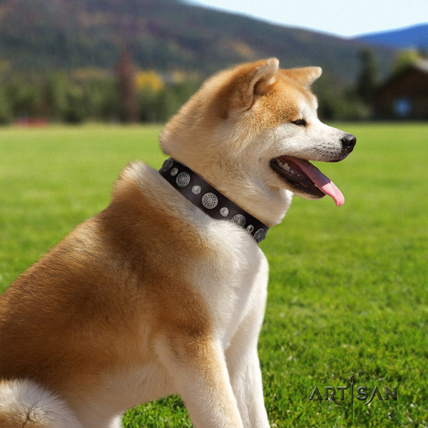 Akita Inu embellished full grain leather dog collar with exceptional studs