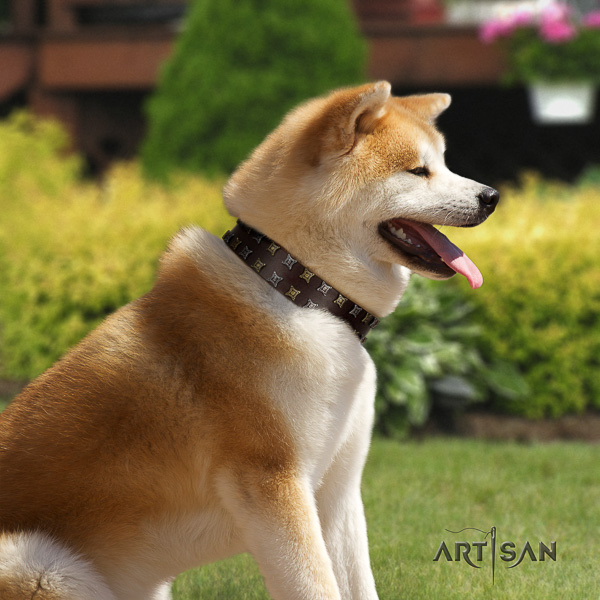 Akita Inu comfortable wearing full grain leather collar with decorations for your doggie