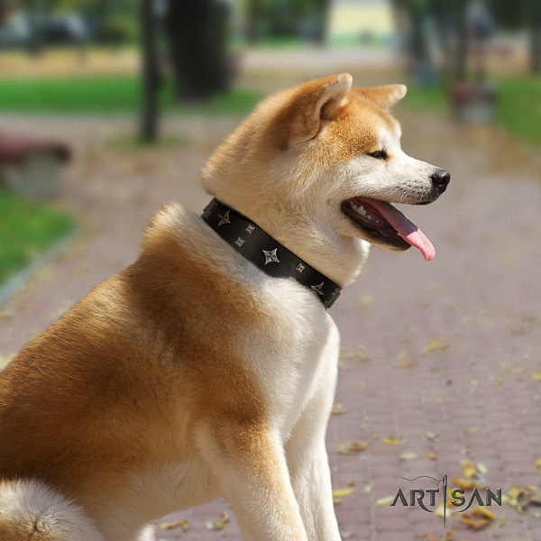 Akita Inu fancy walking full grain genuine leather collar with adornments for your doggie