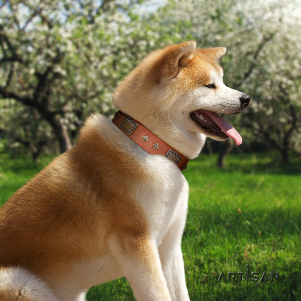 Akita Inu leather dog collar with exquisite studs