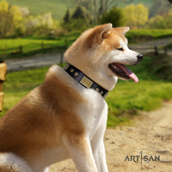 Akita Inu leather dog collar with designer embellishments