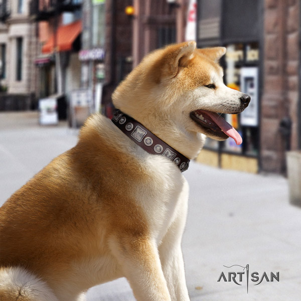 Akita Inu full grain leather dog collar with top notch studs