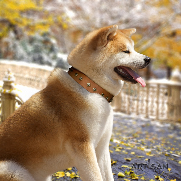 Akita Inu genuine leather dog collar with fashionable adornments