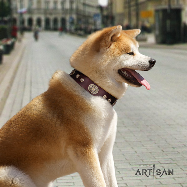 Akita Inu leather dog collar with exceptional decorations