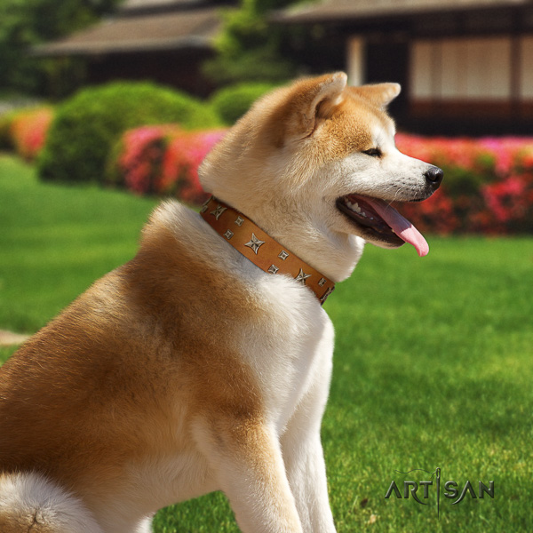 Akita Inu daily use genuine leather collar with decorations for your dog