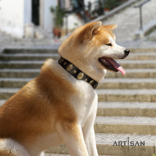 Akita Inu daily walking natural leather collar with adornments for your four-legged friend