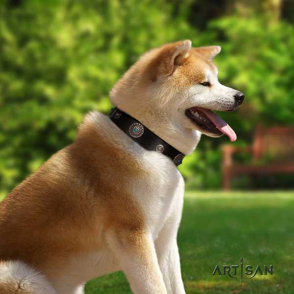 Akita Inu basic training natural leather collar with adornments for your dog