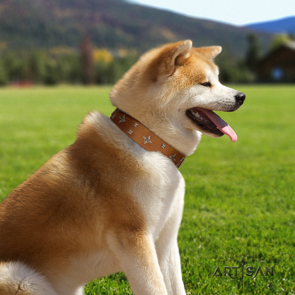 Akita Inu everyday walking natural leather collar with embellishments for your pet