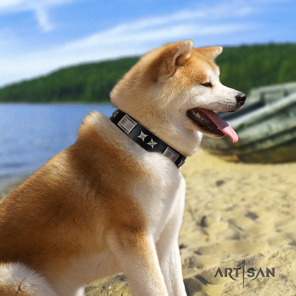 Akita Inu studded leather dog collar with unusual embellishments