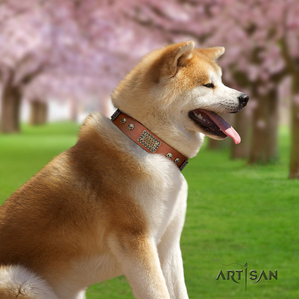Akita Inu genuine leather dog collar with stunning studs