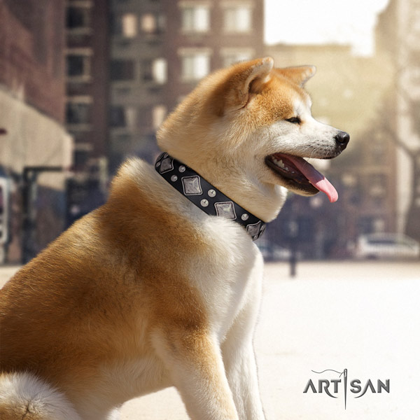 Akita Inu full grain leather dog collar with exquisite studs