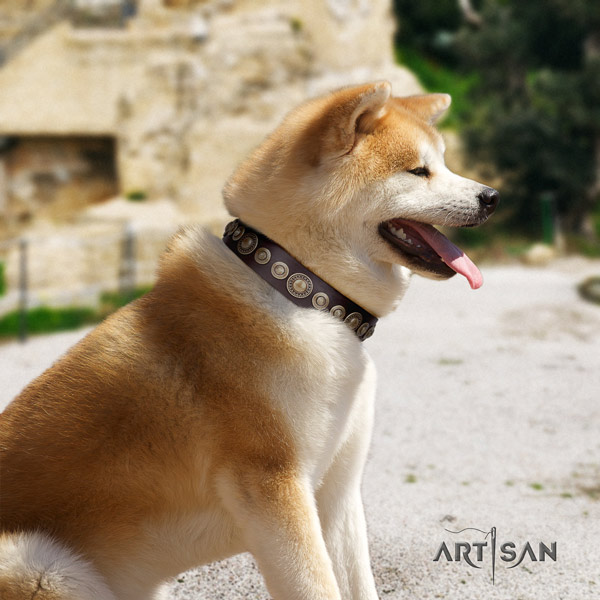 Akita Inu leather dog collar with incredible embellishments