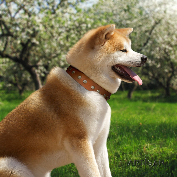 Akita Inu full grain leather dog collar with exceptional decorations