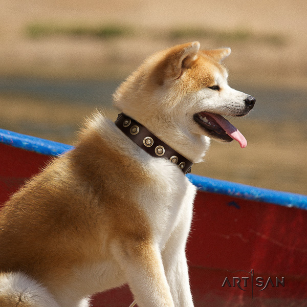 Akita Inu stylish walking full grain genuine leather collar with adornments for your pet