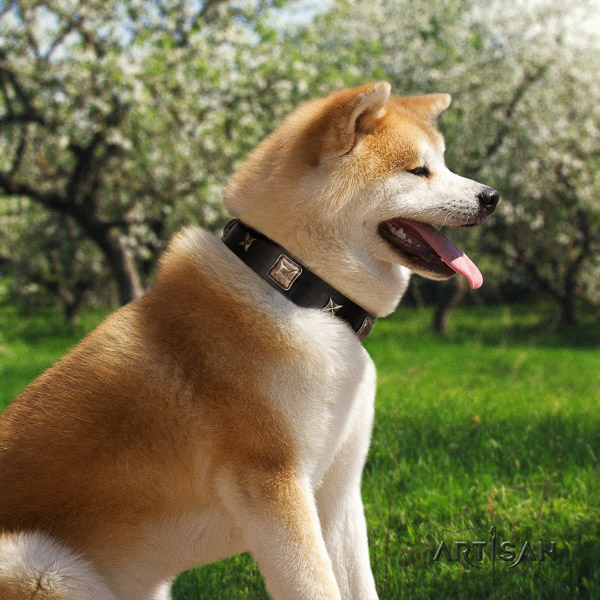 Akita Inu stylish walking full grain natural leather collar with decorations for your pet