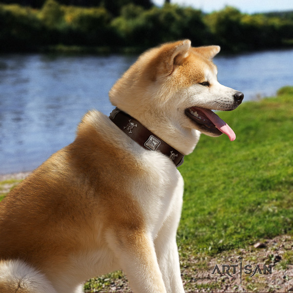 Akita Inu daily use full grain natural leather collar with studs for your pet