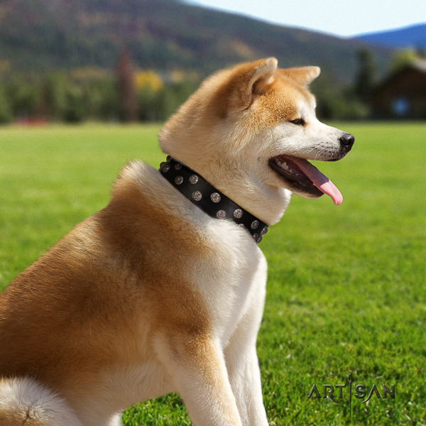 Akita Inu walking full grain leather collar with decorations for your dog