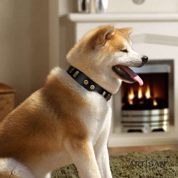 Akita Inu easy wearing full grain natural leather collar with decorations for your dog