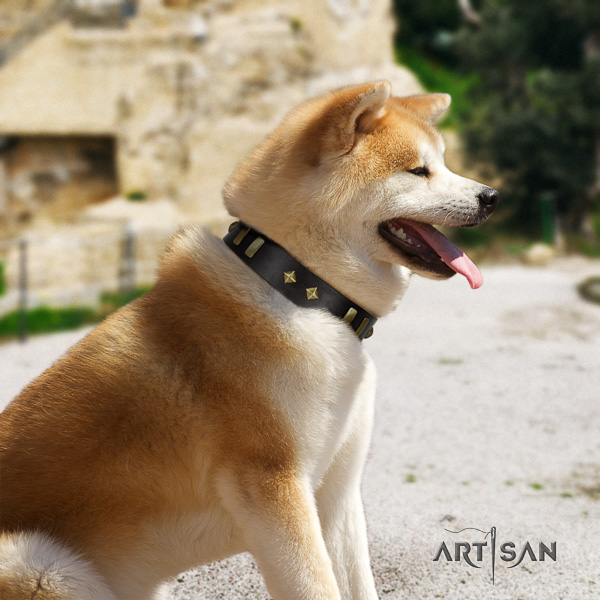 Akita Inu walking full grain genuine leather collar with adornments for your four-legged friend