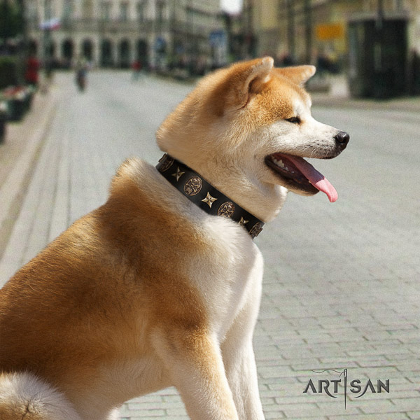 Akita Inu daily use full grain genuine leather collar with studs for your dog