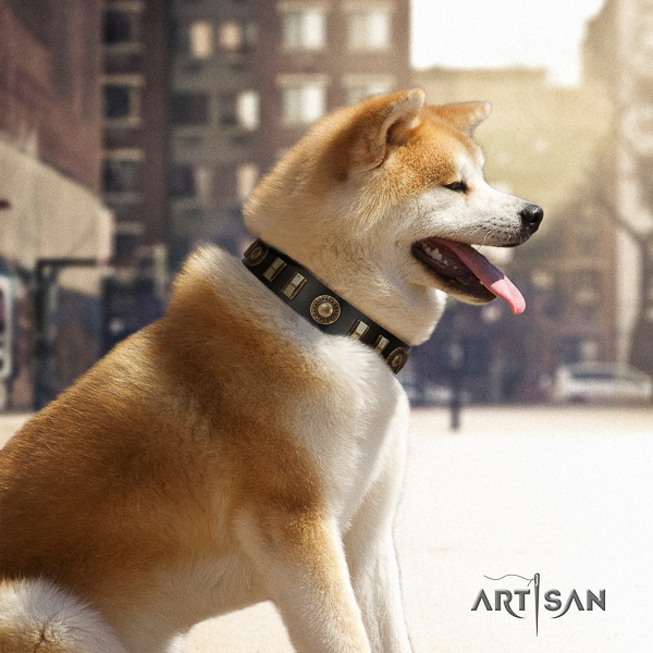 Akita Inu easy wearing full grain genuine leather collar with adornments for your pet