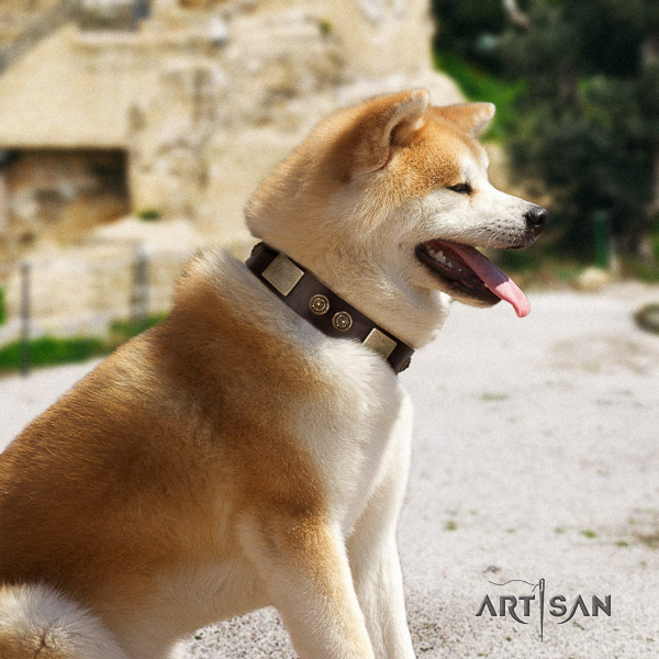 Akita Inu easy wearing full grain natural leather collar with adornments for your canine