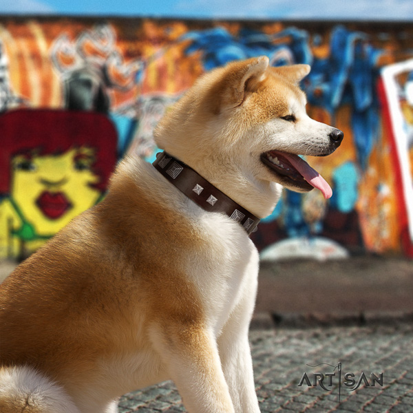 Akita Inu comfortable wearing full grain genuine leather collar with studs for your pet