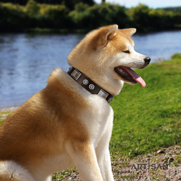 Akita Inu studded genuine leather dog collar with stunning adornments