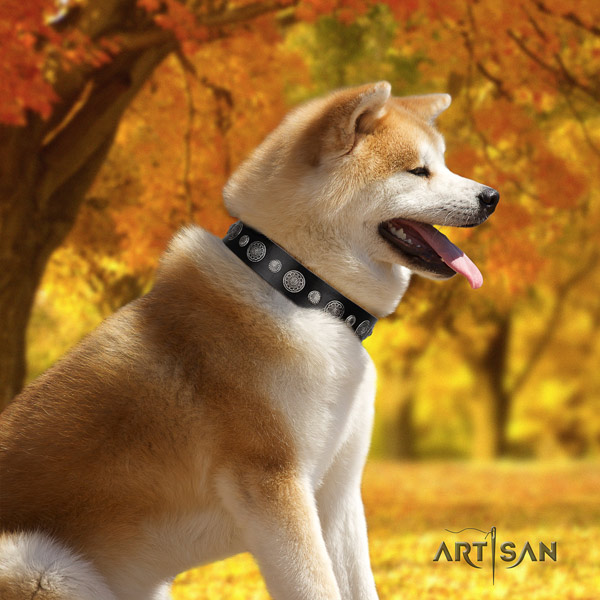 Akita Inu genuine leather dog collar with incredible decorations