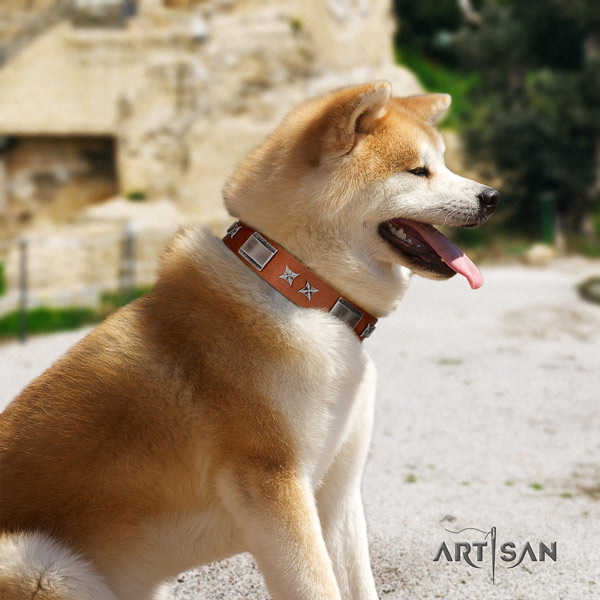 Akita Inu decorated genuine leather dog collar with awesome adornments