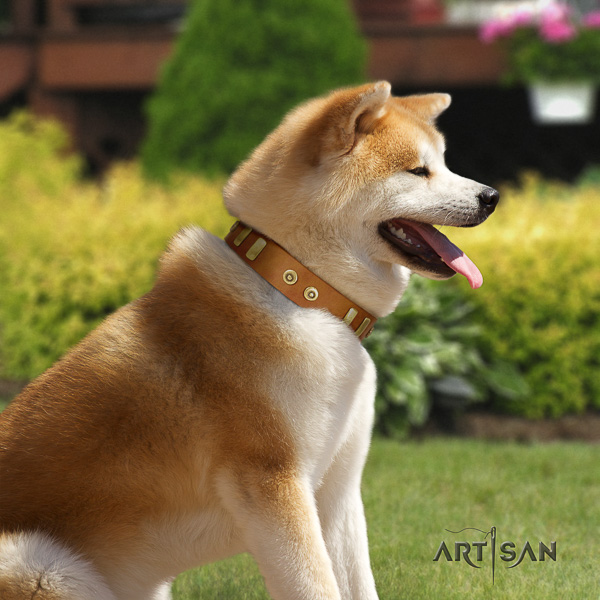 Akita Inu easy wearing natural leather collar with adornments for your pet