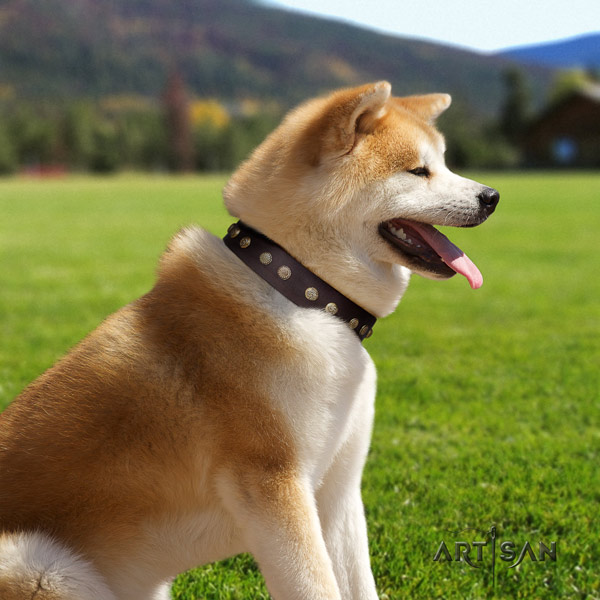 Akita Inu full grain leather dog collar with amazing decorations