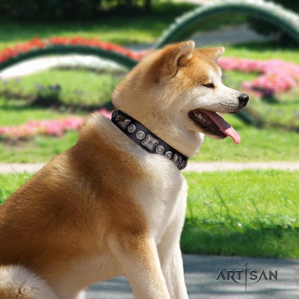 Akita Inu genuine leather dog collar with incredible adornments