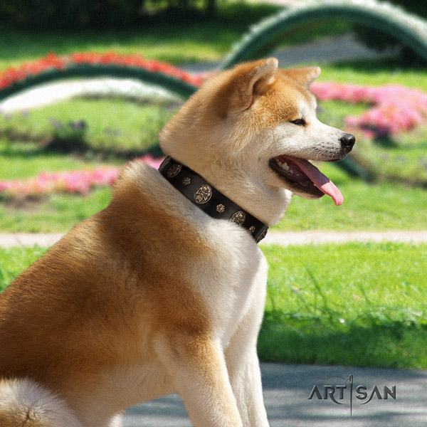 Akita Inu everyday use full grain leather collar with adornments for your pet