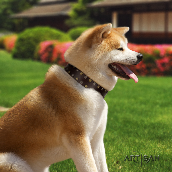 Akita Inu fancy walking genuine leather collar with studs for your pet