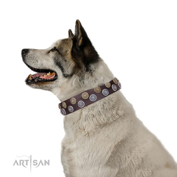 Akita-Inu comfortable full grain leather dog collar with embellishments
