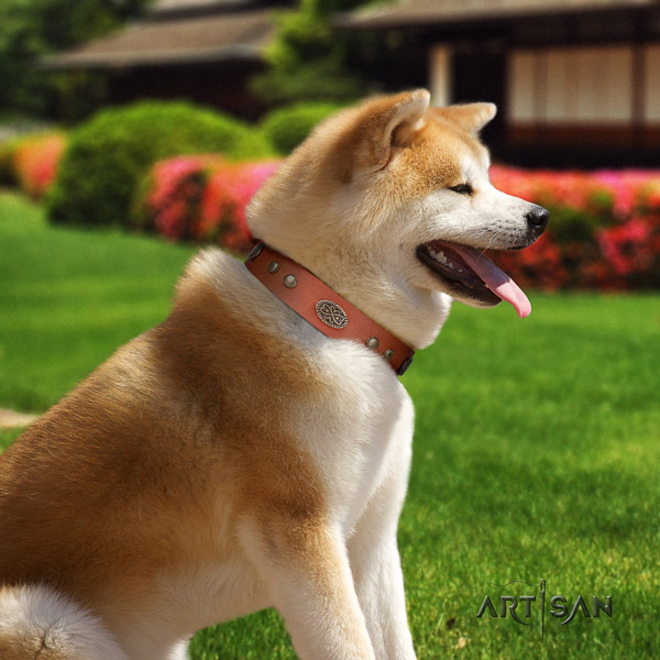 Akita Inu genuine leather dog collar with stylish decorations