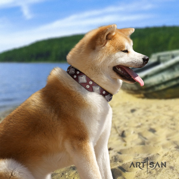Akita Inu full grain leather dog collar with stylish design embellishments