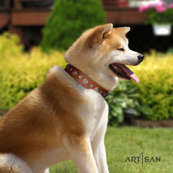 Akita Inu full grain leather dog collar with unique embellishments